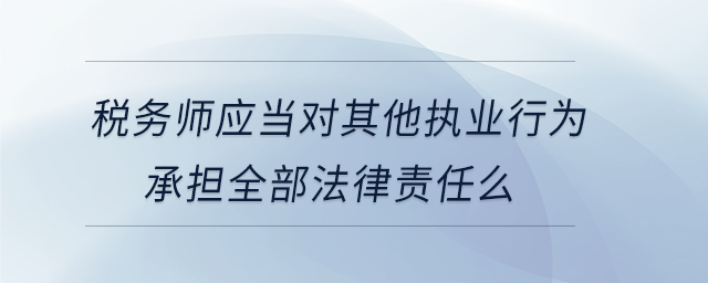 稅務師應當對其他執(zhí)業(yè)行為承擔全部法律責任么