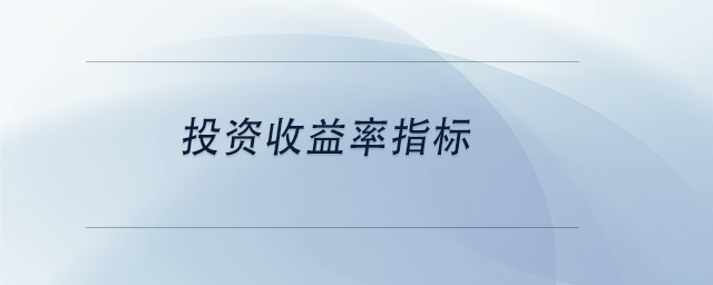 中級會計投資收益率指標(biāo)