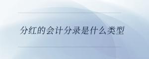 分紅的會計(jì)分錄是什么類型
