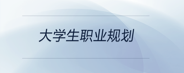 一份想要成為企業(yè)高級管理人員與注冊會計師的大學生職業(yè)規(guī)劃