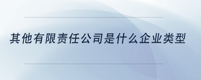 中級(jí)會(huì)計(jì)其他有限責(zé)任公司是什么企業(yè)類型