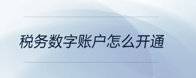 稅務(wù)數(shù)字賬戶怎么開(kāi)通