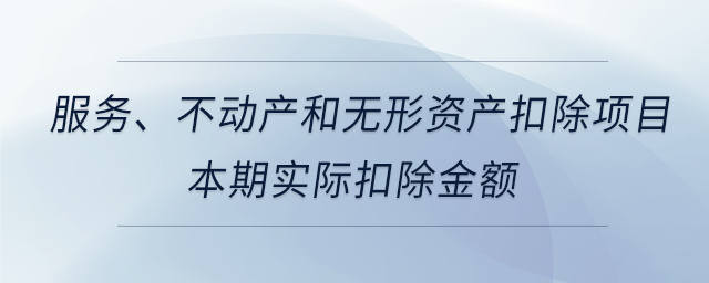服務(wù)、不動(dòng)產(chǎn)和無(wú)形資產(chǎn)扣除項(xiàng)目本期實(shí)際扣除金額