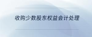 收購少數(shù)股東權益會計處理