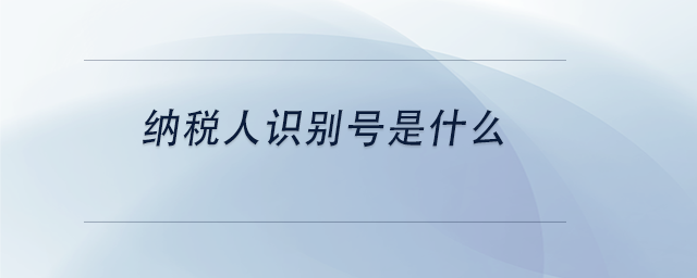 中級會計納稅人識別號是什么