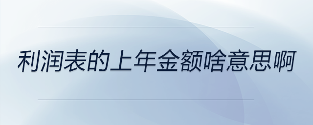 利潤(rùn)表的上年金額啥意思啊