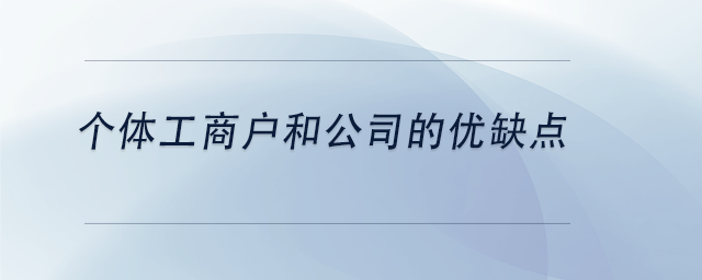 中級會計個體工商戶和公司的優(yōu)缺點