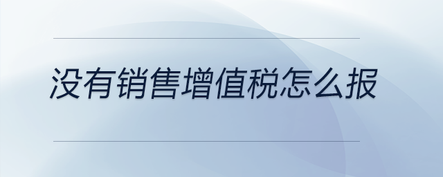 沒(méi)有銷售增值稅怎么報(bào)
