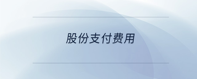 股份支付費用