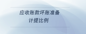  應(yīng)收賬款壞賬準(zhǔn)備計提比例