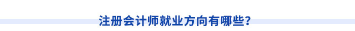注冊(cè)會(huì)計(jì)師就業(yè)方向有哪些？