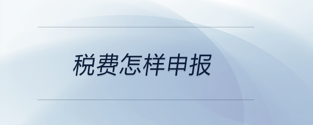 稅費(fèi)怎樣申報