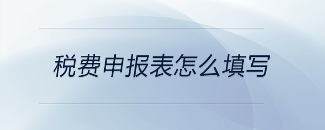 稅費(fèi)申報(bào)表怎么填寫(xiě)