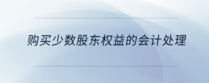 購(gòu)買少數(shù)股東權(quán)益的會(huì)計(jì)處理