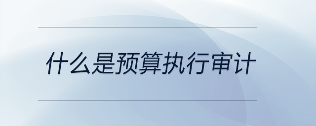 什么是預算執(zhí)行審計