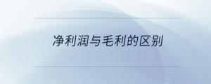 凈利潤(rùn)與毛利的區(qū)別