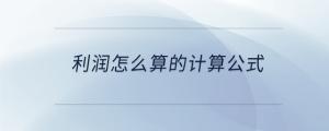 利潤(rùn)怎么算的計(jì)算公式