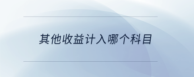 其他收益計(jì)入哪個科目