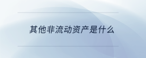 其他非流動資產(chǎn)是什么