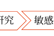 境外投資決策管理_2025年高級會計實務知識點