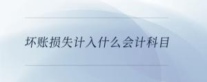 壞賬損失計(jì)入什么會(huì)計(jì)科目
