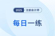 2025年注冊會計師考試每日一練匯總6.25
