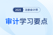 其他貨幣資金的實質(zhì)性程序_25年注冊會計師審計學(xué)習(xí)要點