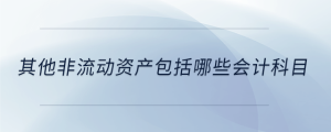 其他非流動(dòng)資產(chǎn)包括哪些會(huì)計(jì)科目