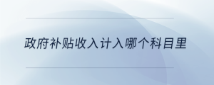 政府補(bǔ)貼收入計(jì)入哪個(gè)科目里