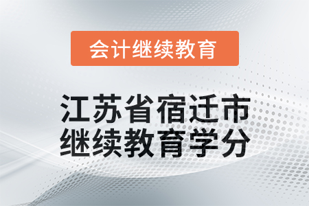 2025年江蘇省宿遷市會計繼續(xù)教育學(xué)分要求