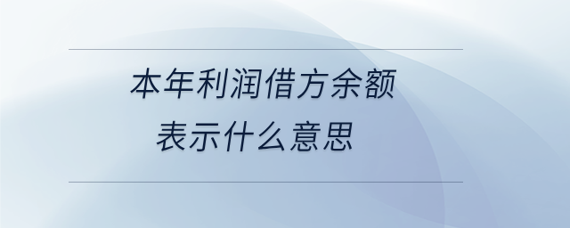 本年利潤(rùn)借方余額表示什么意思