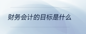 財(cái)務(wù)會(huì)計(jì)的目標(biāo)是什么