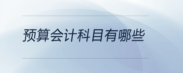 預(yù)算會計(jì)科目有哪些