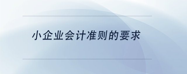 中級(jí)會(huì)計(jì)小企業(yè)會(huì)計(jì)準(zhǔn)則的要求