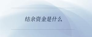 結余資金是什么
