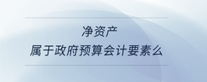 凈資產(chǎn)屬于政府預算會計要素么