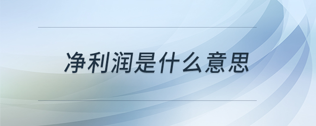 凈利潤(rùn)是什么意思