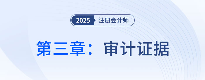 第三章審計證據(jù)_2025年注會審計習題隨章演練