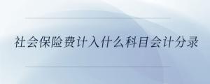 社會保險費(fèi)計入什么科目會計分錄