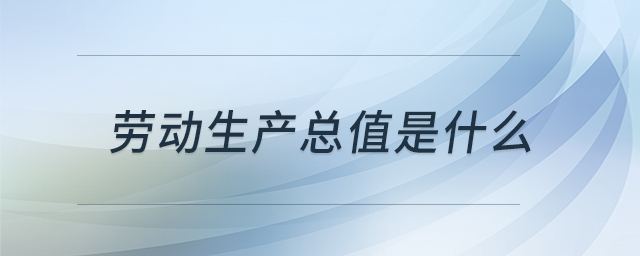 勞動生產(chǎn)總值是什么