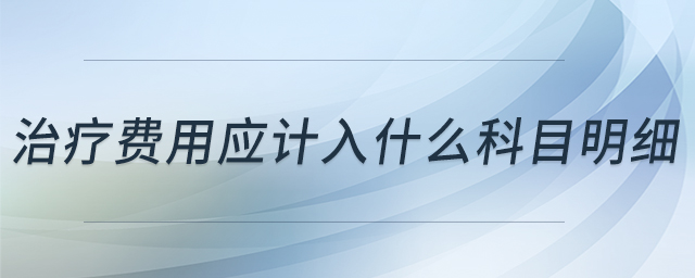 治療費用應(yīng)計入什么科目明細(xì)