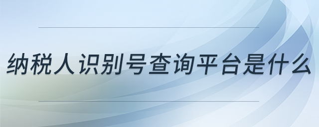 納稅人識別號查詢平臺是什么