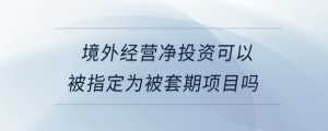 境外經(jīng)營凈投資可以被指定為被套期項(xiàng)目嗎