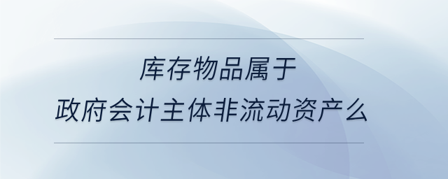 庫存物品屬于政府會計主體非流動資產么