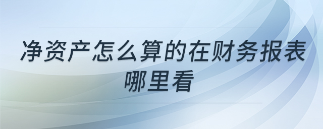 凈資產(chǎn)怎么算的在財務(wù)報表哪里看