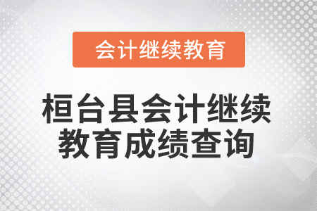 2025年山東省桓臺縣會計(jì)繼續(xù)教育成績查詢