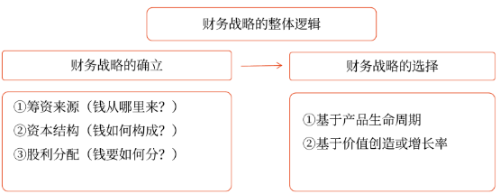 財務(wù)戰(zhàn)略