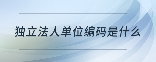 獨(dú)立法人單位編碼是什么