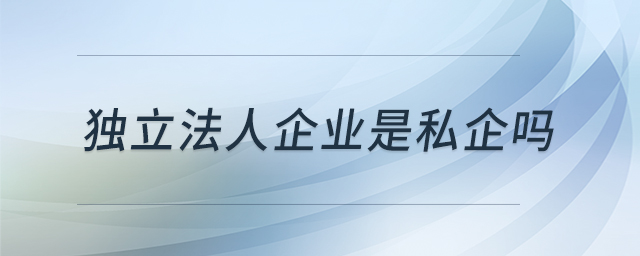 獨立法人企業(yè)是私企嗎