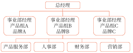 產(chǎn)品/品牌事業(yè)部制結(jié)構(gòu)
